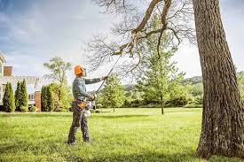  Bellevue, ID Tree Services Pros