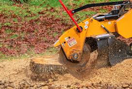 Best Tree Removal  in Bellevue, ID