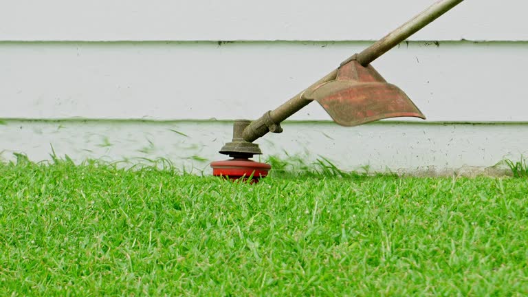 Best Lawn Mowing  in Bellevue, ID