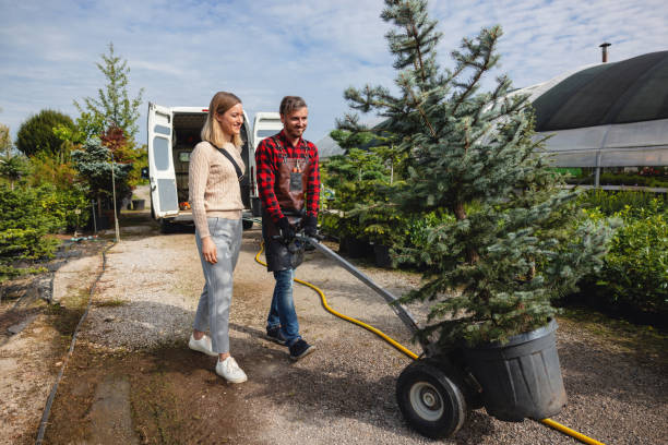 Best Emergency Tree Removal  in Bellevue, ID